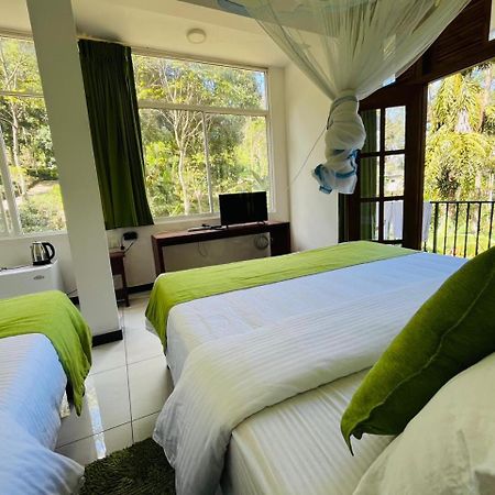 Silent Oasis Apartman Ella Kültér fotó