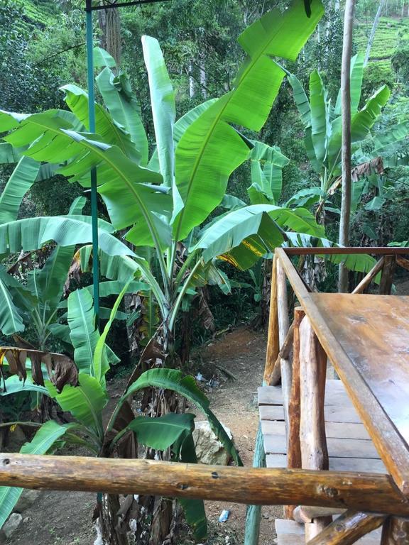 Silent Oasis Apartman Ella Kültér fotó